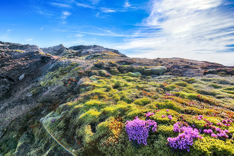 ทุ่งลาวาเอลดรอน