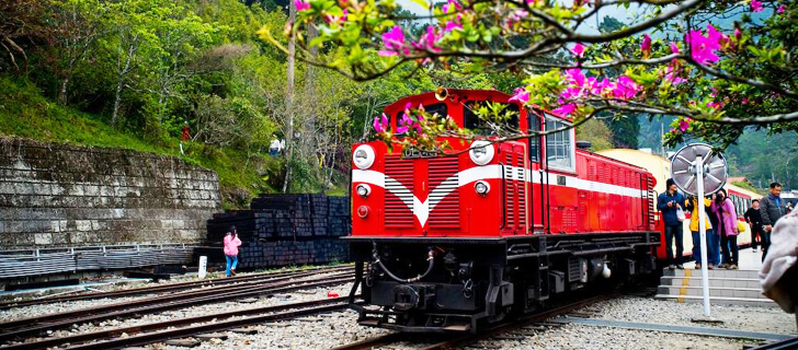อุทยานแห่งชาติอาลีซาน Alishan National Scenic Area